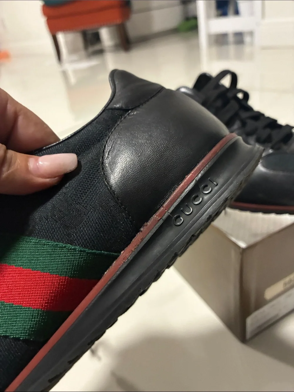 Gucci please see